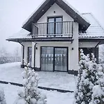 Villa Markowicz Alpine House