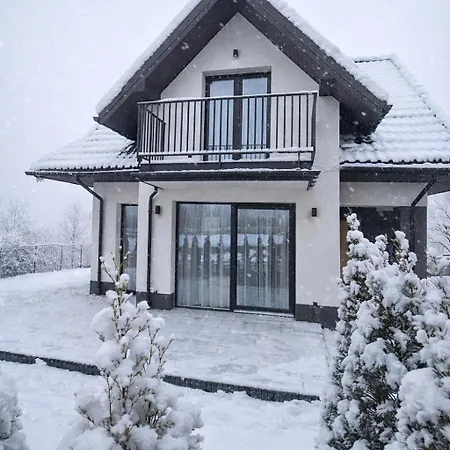 Villa Markowicz Alpine House