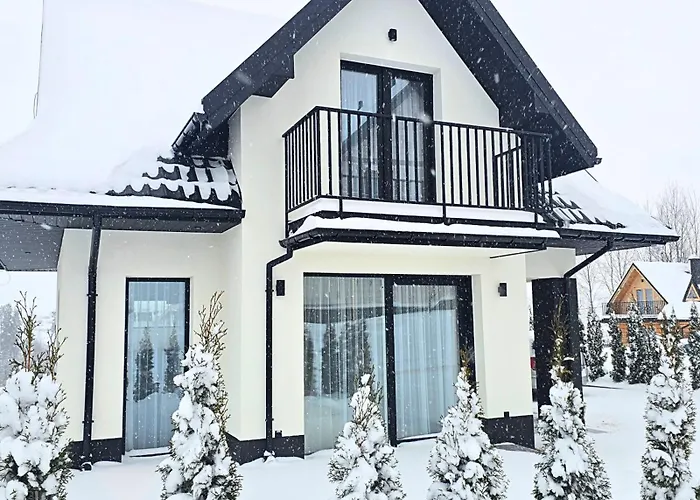 Markowicz Alpine House